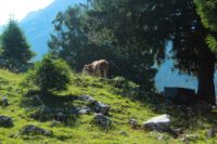 2014-07-18_Kompar (170)b.JPG